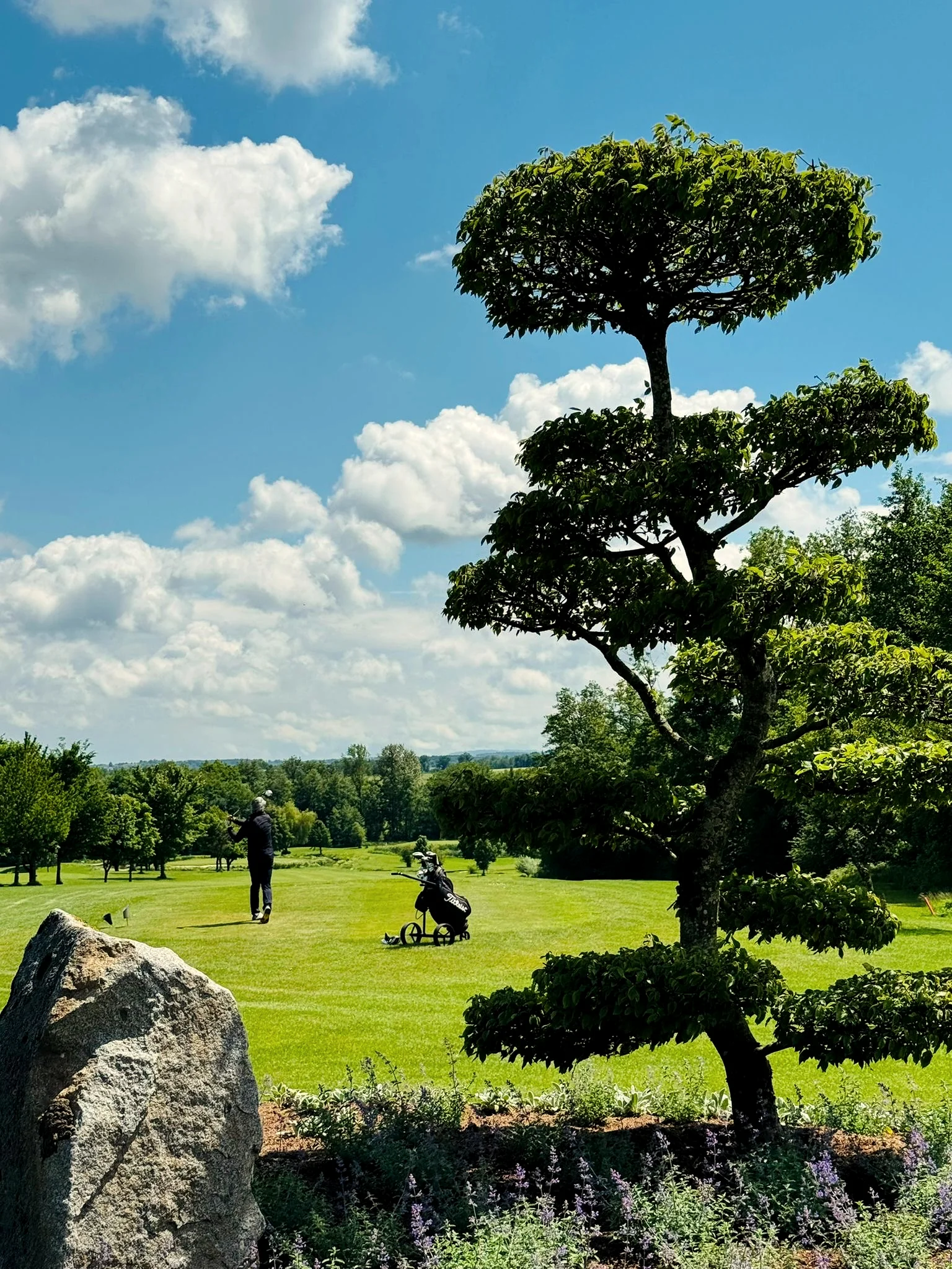 GC Schärding-Maad